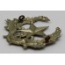 Cameronians (Scottish Rifles) Cap Badge