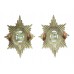 Pair of Worcestershire Regiment Bi-metal Collar Badges