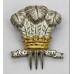 10th Royal Hussars (Prince of Wales's Own) Officer's Beret and Tent Badge