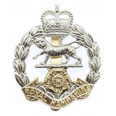 Royal Hampshire Regiment Anodised (Staybrite) Cap Badge