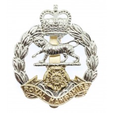 Royal Hampshire Regiment Anodised (Staybrite) Cap Badge