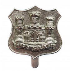 Dorsetshire Territorials Anodised (Staybrite) Cap Badge