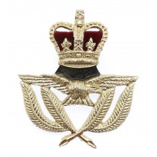 Royal Air Force (R.A.F.) Warrant Officer's Anodised (Staybrite) Cap Badge - Queen's Crown