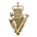 Ulster Defence Regiment Anodised (Staybrite) Cap Badge - Queen's Crown