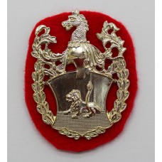 Rare Portsmouth Grammar School O.T.C. Anodised (Staybrite) Cap Badge