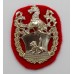 Rare Portsmouth Grammar School O.T.C. Anodised (Staybrite) Cap Badge