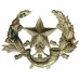 Cameronians (Scottish Rifles) Cap Badge