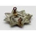 Edwardian Devonshire Regiment Cap Badge