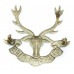 Seaforth Highlanders Cap Badge