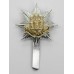 Royal Anglian Regiment Anodised (Staybrite) Cap Badge