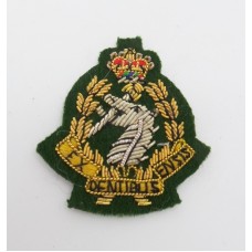 Royal Army Dental Corps Officers Bullion Beret Badge - Queen's Crown