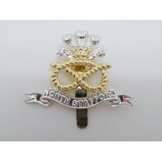 North Staffordshire Regiment Anodised (Staybrite) Cap Badge