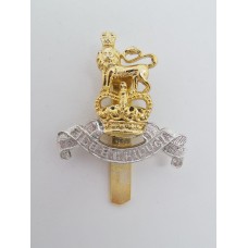 Royal Army Pay Corps (R.A.P.C.) Anodised (Staybrite) Beret Badge - Queen's Crown