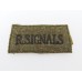 Royal Signals (R.SIGNALS) Cloth Slip On Shoulder Title