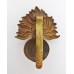 Royal Fusiliers Cap Badge - King's Crown