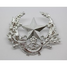 Cameronians (Scottish Rifles) Anodised (Staybrite) Cap Badge