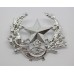 Cameronians (Scottish Rifles) Anodised (Staybrite) Cap Badge