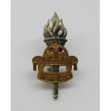 Royal Army Educational Corps (R.A.E.C.) Officer's Dress Cap Badge - King's Crown
