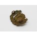 Hampshire Regiment Collar Badge