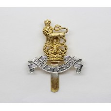 Royal Army Pay Corps (R.A.P.C.) Anodised (Staybrite) Beret Badge - Queen's Crown