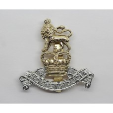 Royal Army Pay Corps (R.A.P.C.) Anodised (Staybrite) Cap Badge - Queen's Crown