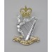 Royal Irish Rangers Anodised (Staybrite) Cap Badge - Queen's Crown