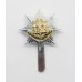 Royal Anglian Regiment Anodised (Staybrite) Cap Badge