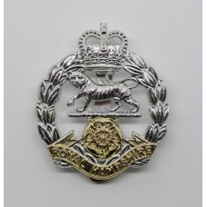 Royal Hampshire Regiment Anodised (Staybrite) Cap Badge