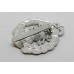 Royal Hampshire Regiment Anodised (Staybrite) Cap Badge