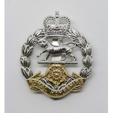 Royal Hampshire Regiment Anodised (Staybrite) Cap Badge - Queen's