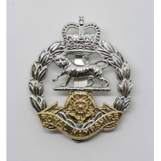 Royal Hampshire Regiment Anodised (Staybrite) Cap Badge - Queen's Crown