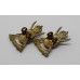 Pair of Hampshire (Carabiniers) Yeomanry Collar Badges - King's Crown