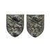 Pair of Somersetshire Constabulary Collar Badges