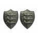 Pair of Great Yarmouth Borough Police Collar Badges