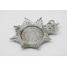 Humberside Police Helmet Plate - Queen's Crown