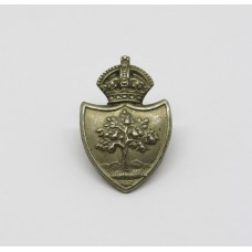 Worcestershire Constabulary Collar Badge - King's Crown