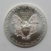 2013 American Eagle 1oz Fine Silver $1 One Dollar Coin