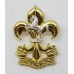 The Kings Regiment Cap Badge