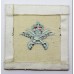 Royal Air Force (R.A.F.) Physical Training Instructor's Embroidered Vest Badge