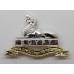 Royal Lincolnshire Regiment Anodised (Staybrite) Cap Badge