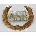 Army Scripture Readers (A.S.R.) Cap Badge