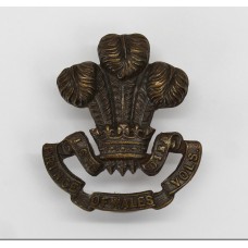 South Lancashire Regiment (Prince of Wales Vols) Officer's Service Dress Collar Badge