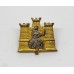 1st Battalion Royal Anglian Regiment Officer's Collar Badge