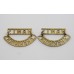 Pair of Hampshire Yeomanry (HANTS/CARABINIERS) Shoulder Titles