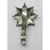 Royal Anglian Regiment Anodised (Staybrite) Cap Badge