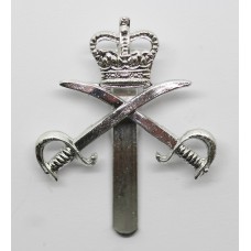 Army Physical Training Corps (A.P.T.C.) Anodised (Staybrite) Cap Badge - Queen's Crown