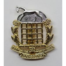 Berkshire & Westminster Dragoons Anodised (Staybrite) Cap Badge