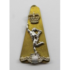 Royal Corps of Signals Anodised (Staybrite) Cap Badge - Queen's Crown