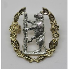 Queen's Own Warwickshire & Worcestershire Yeomanry Anodised (Staybrite) Cap Badge