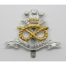 North Staffordshire Regiment Anodised (Staybrite) Cap Badge